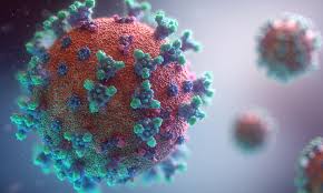 Coronavirus - Know About Its Symptoms and Risk